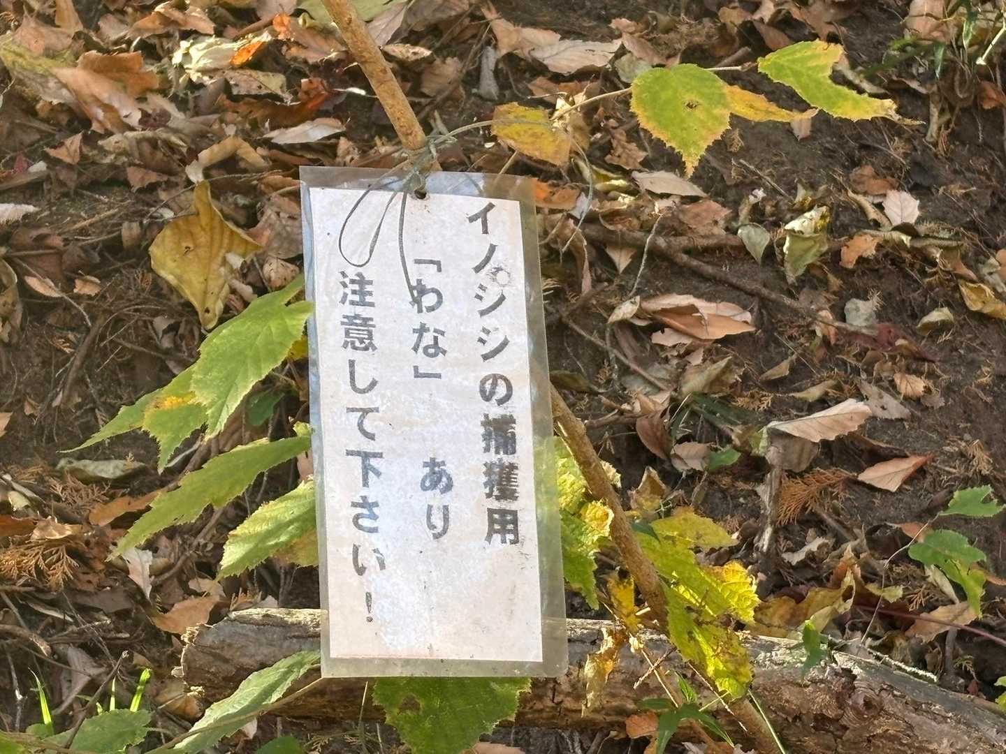 気をつけないと