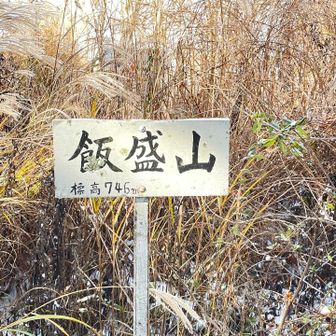 飯盛山山頂到着
木々に囲まれ眺望はない
苦労した割にはご褒美が無いな