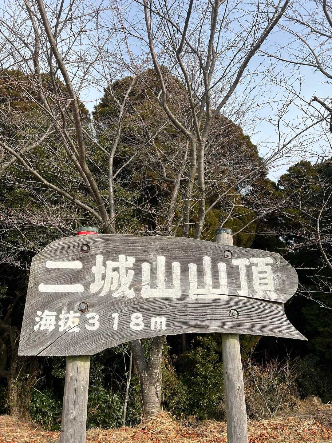 目の前がランチ🍗会場に