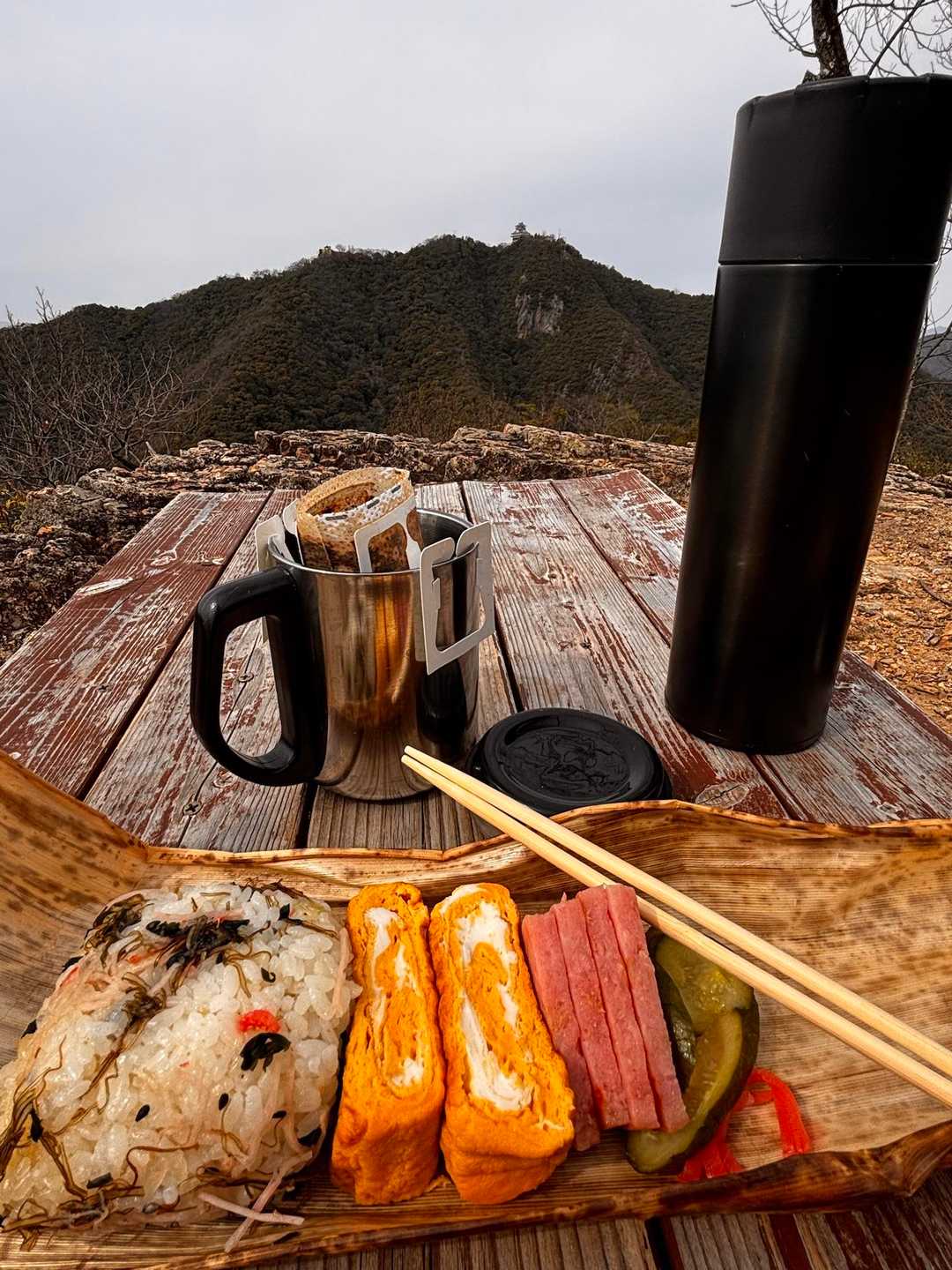 金華山・鷹巣山 / 新美にゃん吉さんの金華山・洞山・舟伏山の活動