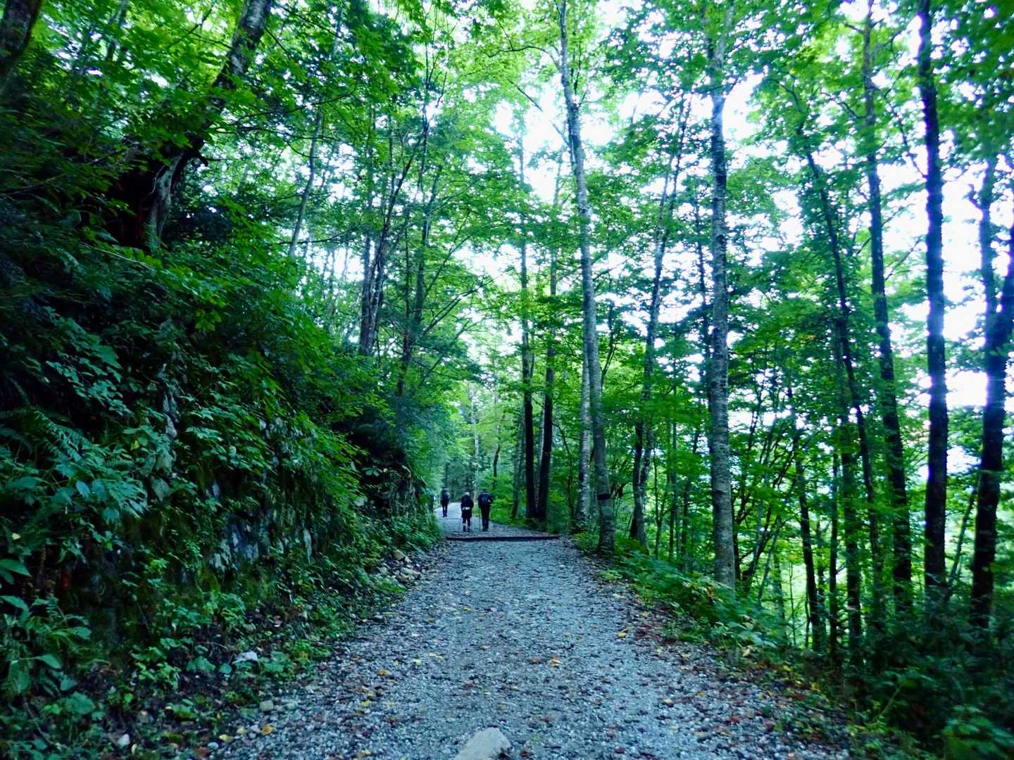 平坦