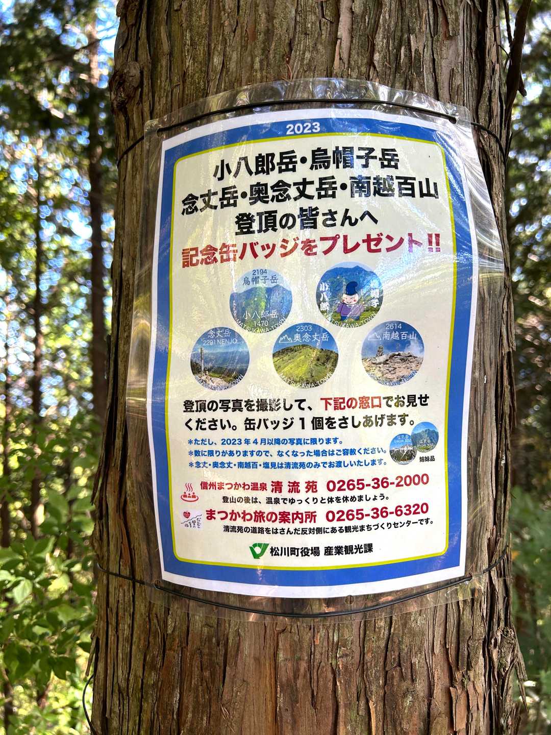 鳩打峠-小八郎岳 往復コースの写真