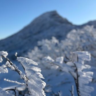 楽しすぎる✨✨