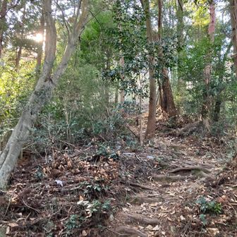 しばらく歩くと