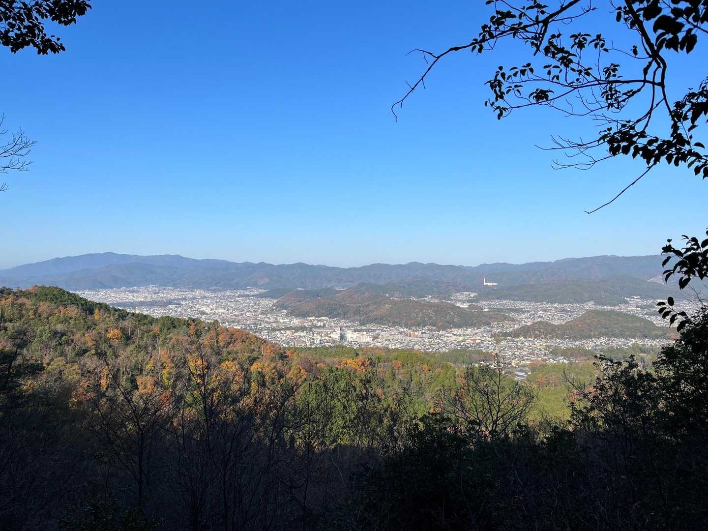ちょこっと景色見られた📸