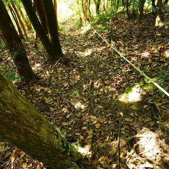 ここも長居せずに、さっさと下山。