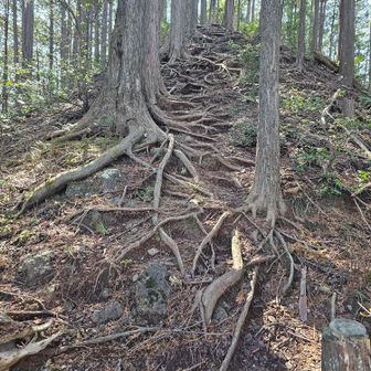 けっこう急だった

っていうか、今日は先週よりも急なアップダウンが多いかもしれない。