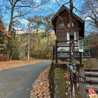 トイレもあります🚽