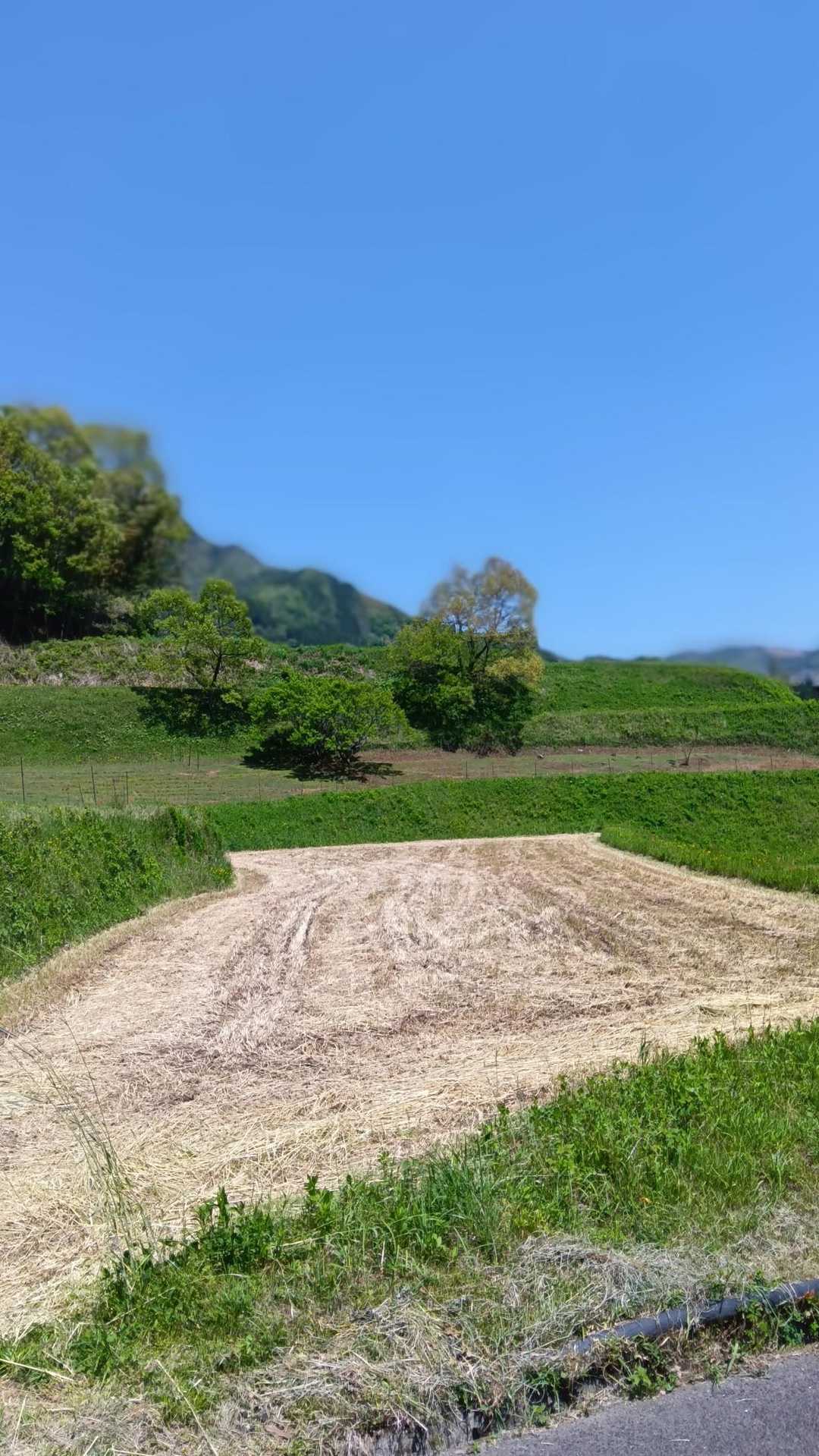 下山途中から