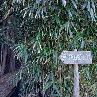 吾国山登山口
🥾入山しま〜す♪