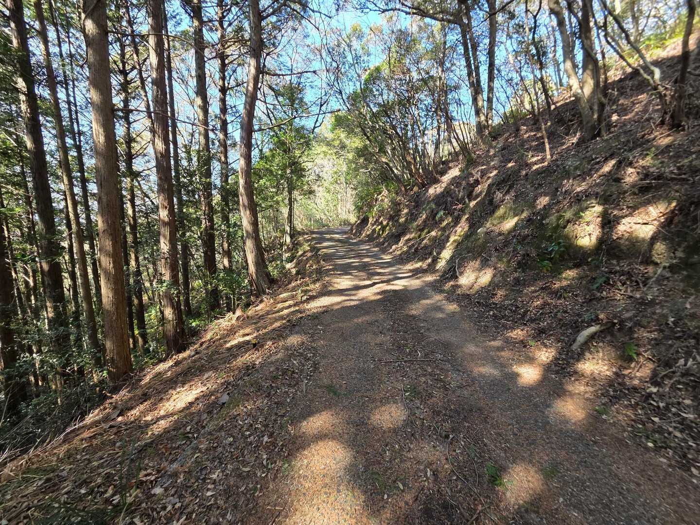 石鎚神社-清宝山 往復コースの写真