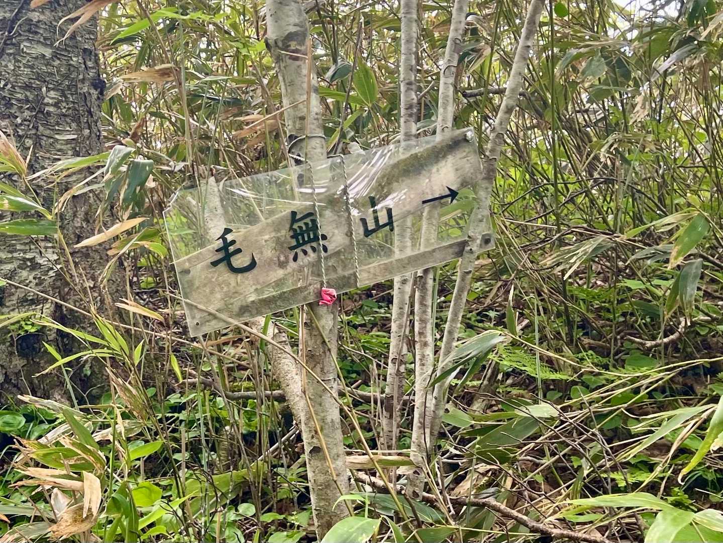 おなじみプラ標識🪧