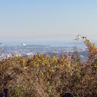 八景島方面が見通せます