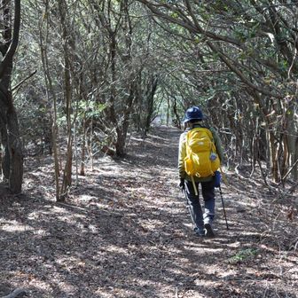 あとは快適な道