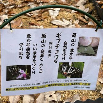 原山ギフチョウ保全の会🙏

原山を元気にする会🙏