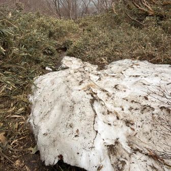 まだ少し残ってる