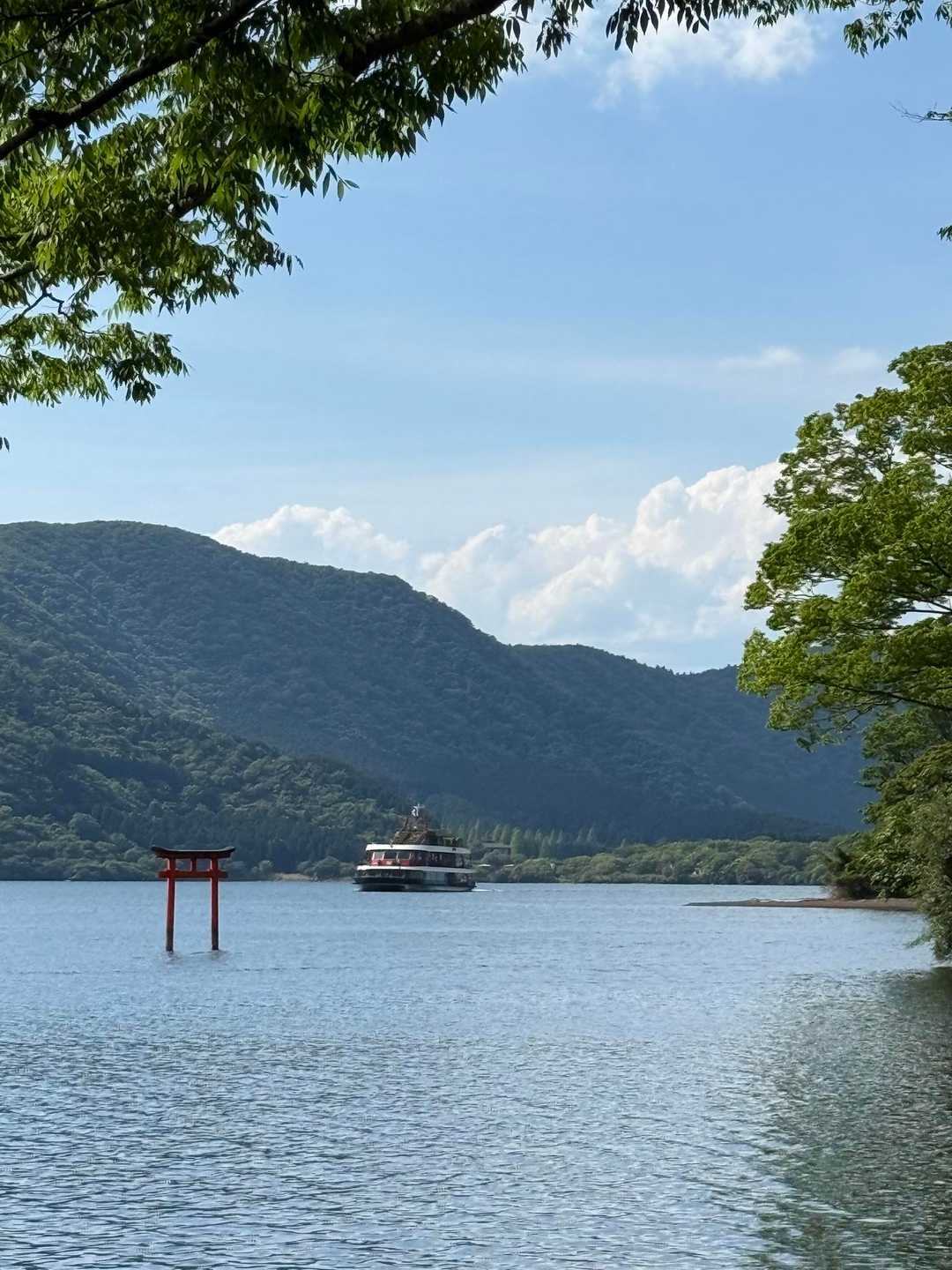 デンキ虫⚠️です😆