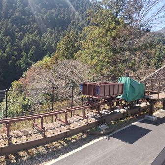 トロッコ見るとテンションあがるw