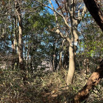 なかみ山の山頂。