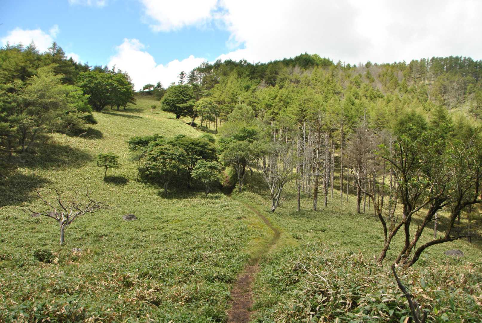 登る、、、けどいい景色ｗ