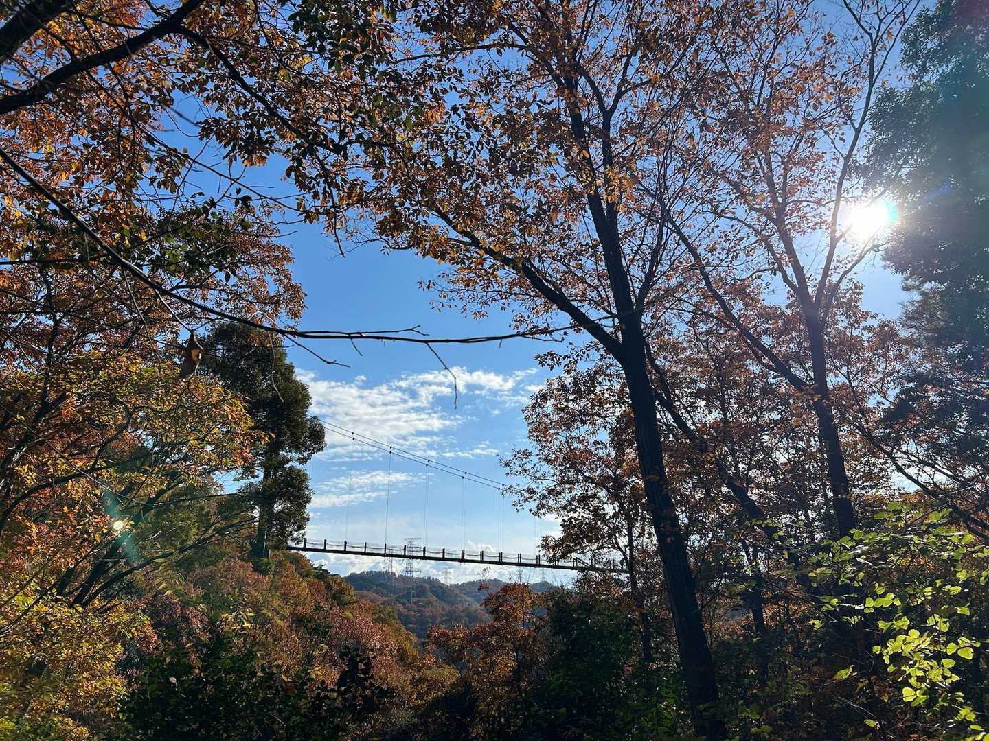 日南山 往復コースの写真
