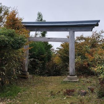 神社は鳥居だけが残ります。