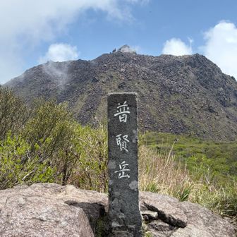 圧巻の迫力でした✨