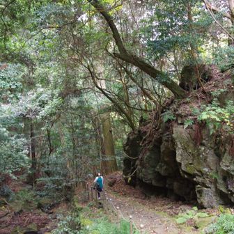 若草山・芳山・高円山 久しぶりですね👍