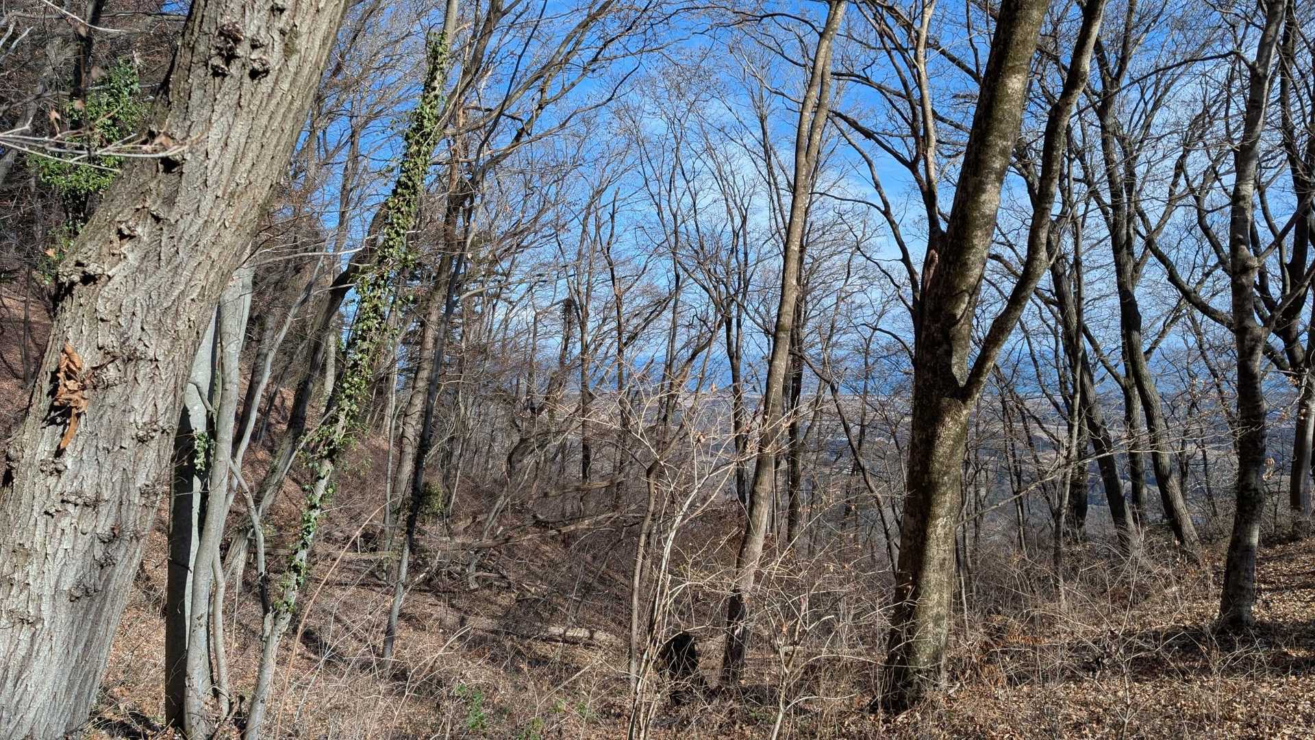 鹿狼山 周回コースの写真