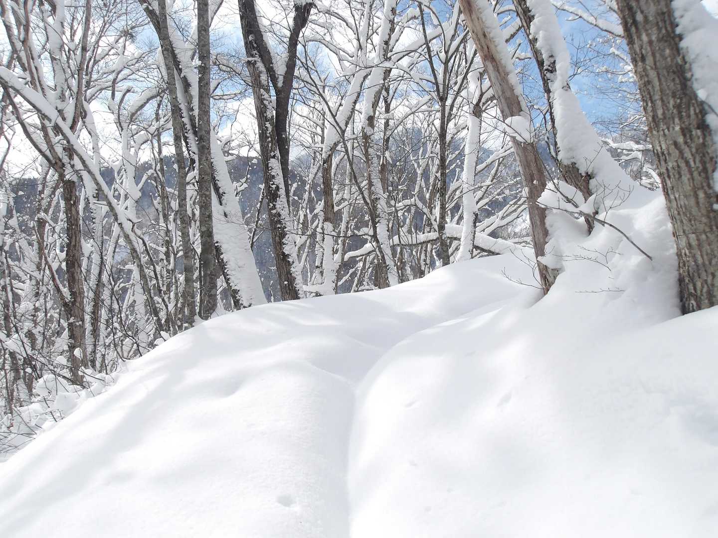 調子よく進んでいるのでもう少しがんばる