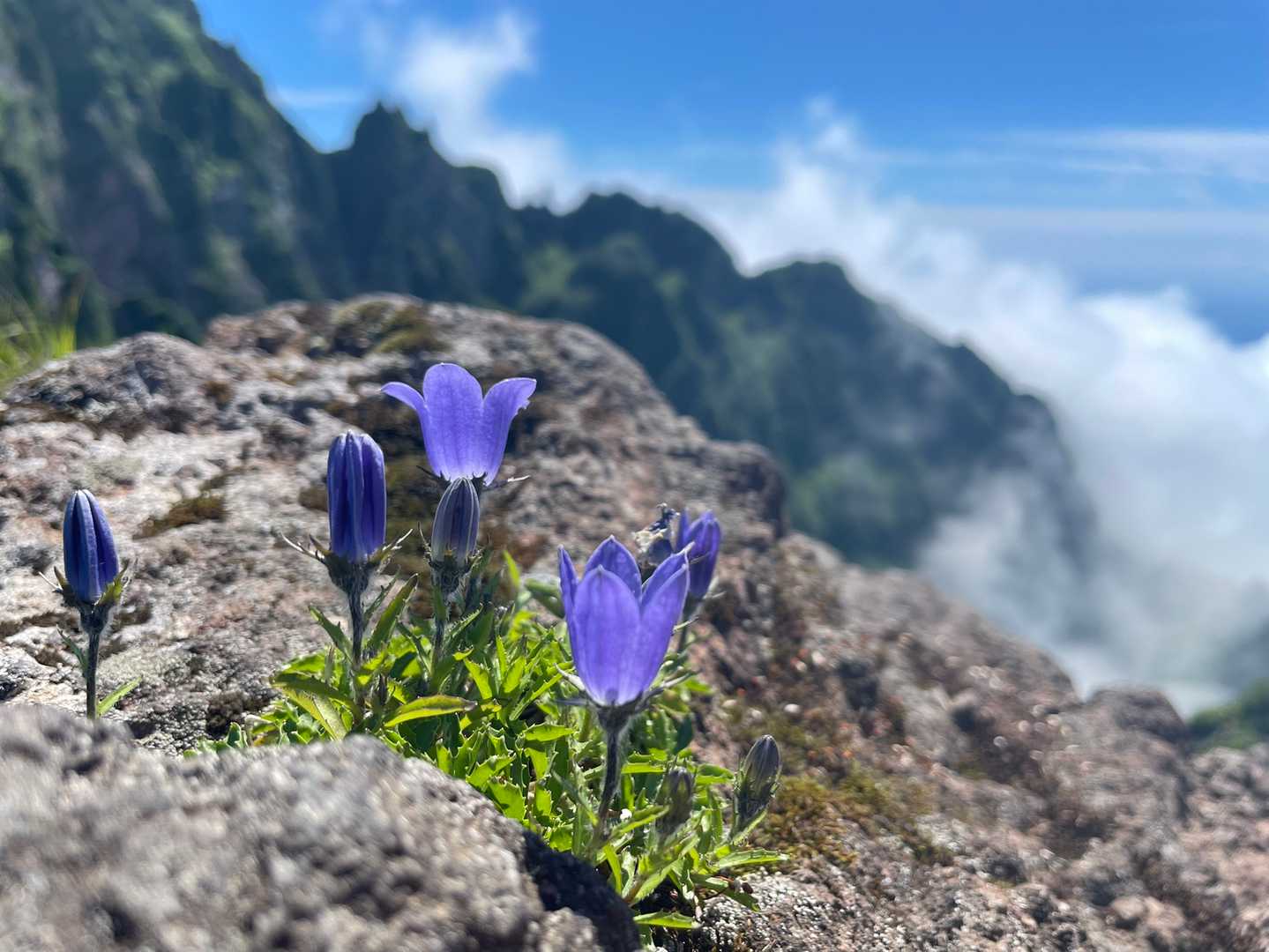 それでは山頂に向けてまたすすみます。
