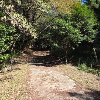 こっちから
