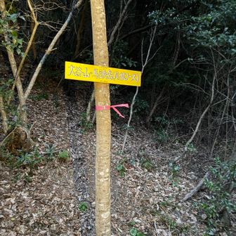 道沿いに登山口あり