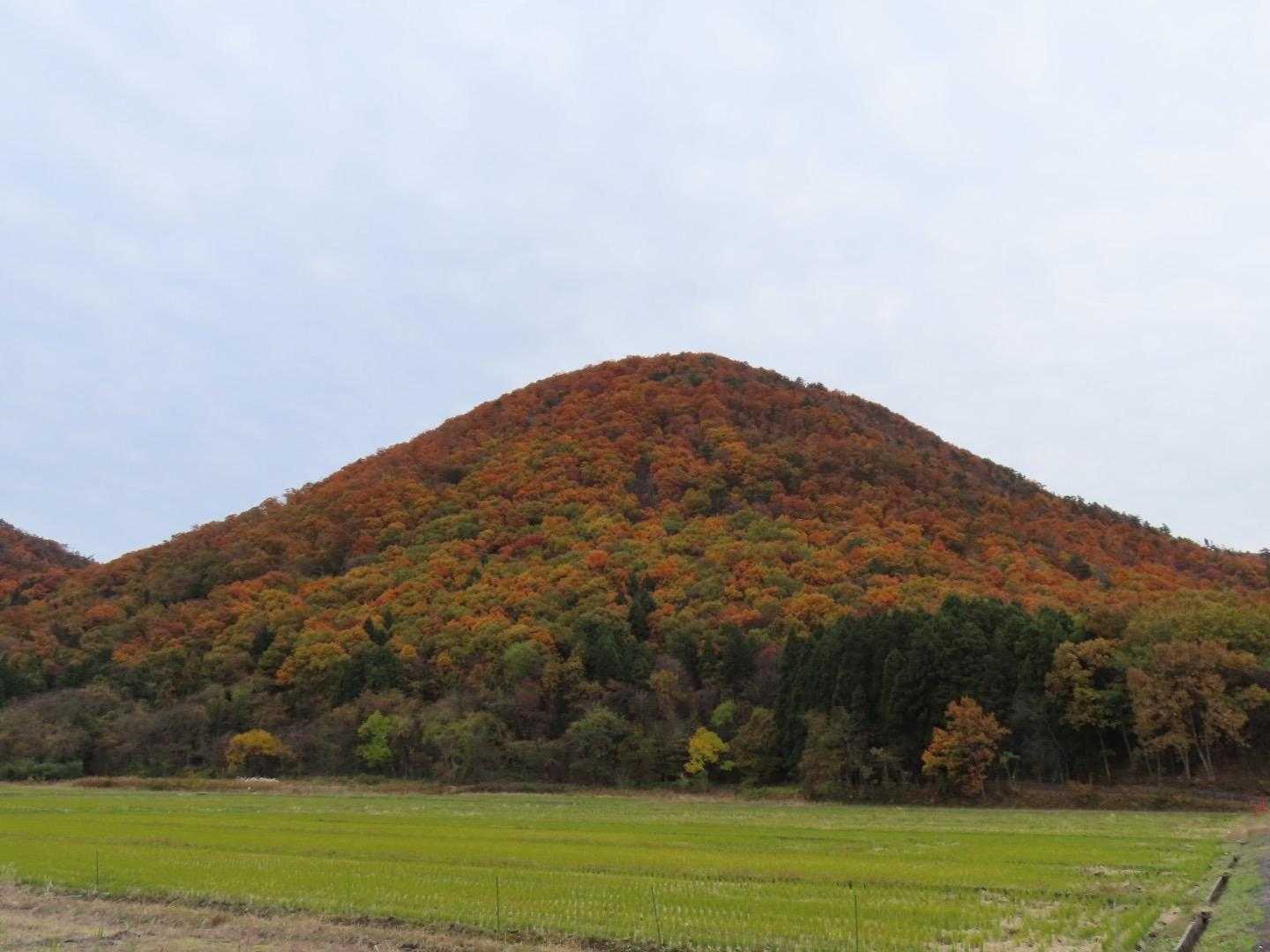 お見事です