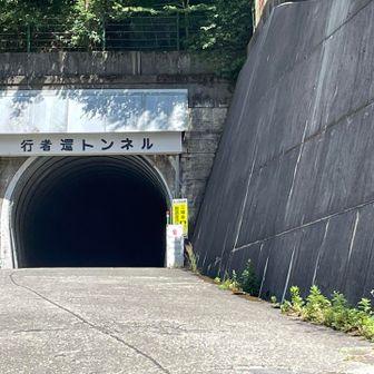 弥山小屋から弥山登山口駐車場 までピストンで戻りました。最後の急坂が、ガレ石が多くてちょっと癖がありました。怪我無く無事に下山完了です。