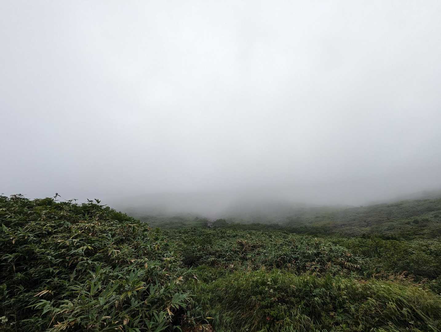 ガスガス〜🌫️