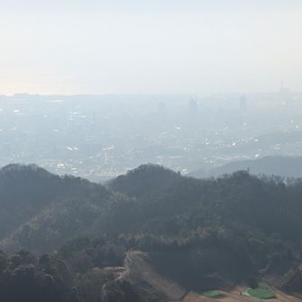 展望はこんな感じです。