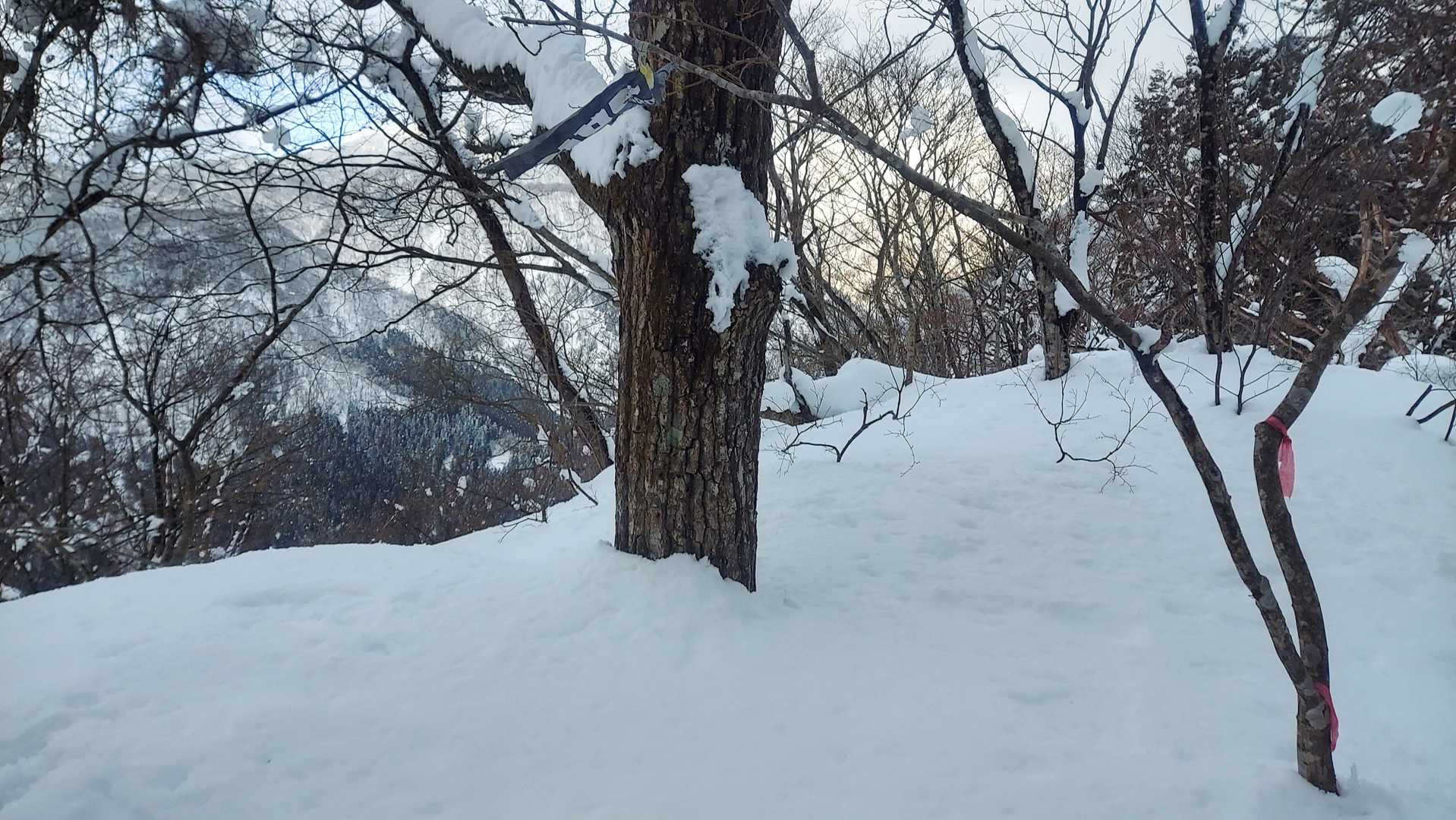 山頂に到着。バックは大辻山