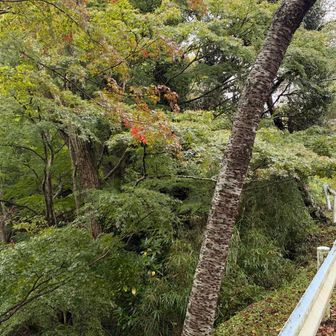 車で……移動して久留里城址へ。あ、秋だ。