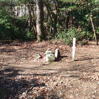 頂上広場に到着。