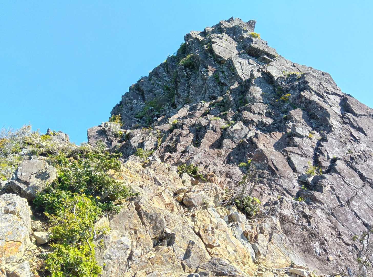 鹿納山登山口-鹿納谷登山口-鹿納山 往復コースの写真