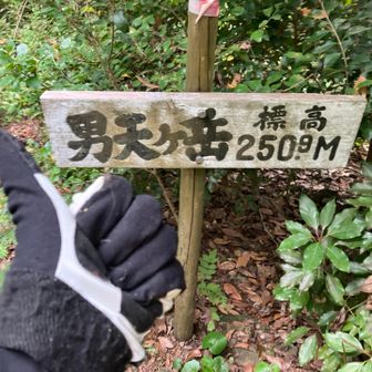 まずは男天ヶ岳登頂👍