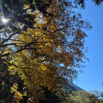 明神でもゆっくり休んで、、、