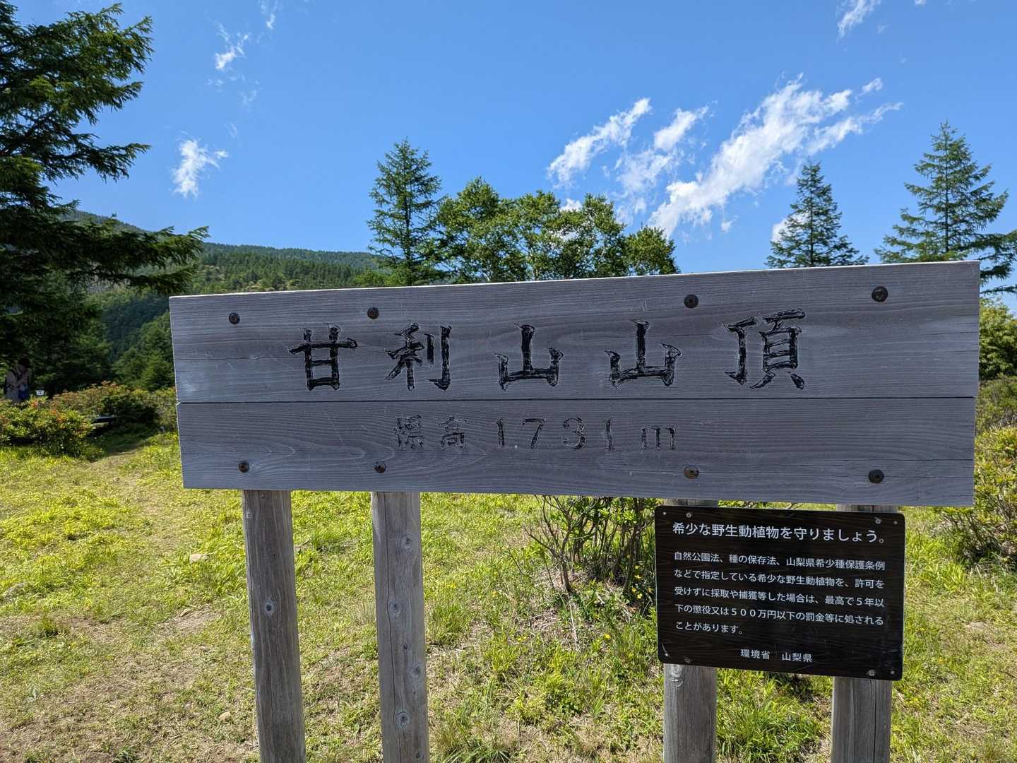 甘利山登山口-甘利山 往復コースの写真