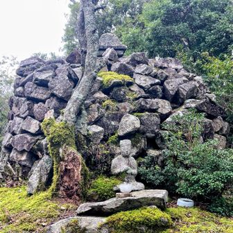 堀坂山雌岳