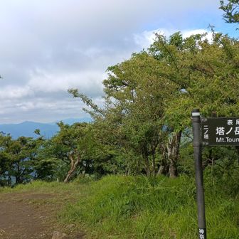 二ノ塔に到着