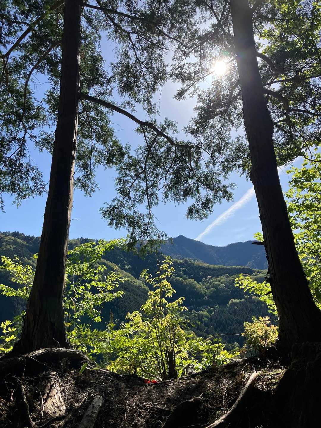 快晴ですが日陰は涼しくて歩くとちょうどいい😚