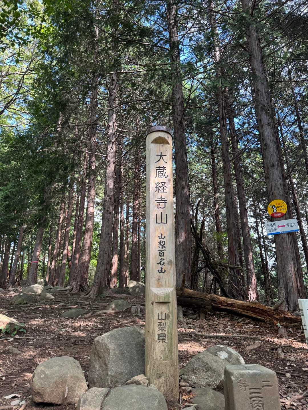 登頂🙌

山頂は林の中のため、眺めはありませんが、とても涼しくのんびり休憩🍙