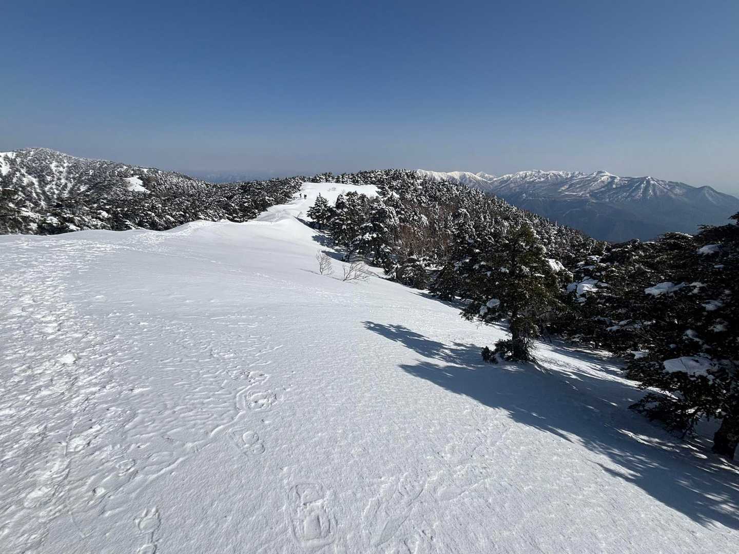 黒滝山登山口-三石山-サル山-山藤山-黒滝山-西村山-大長 往復コースの写真