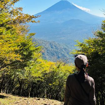 富士山を見ながらゆっくり〜木々が紅葉になるとビジュ映えそう